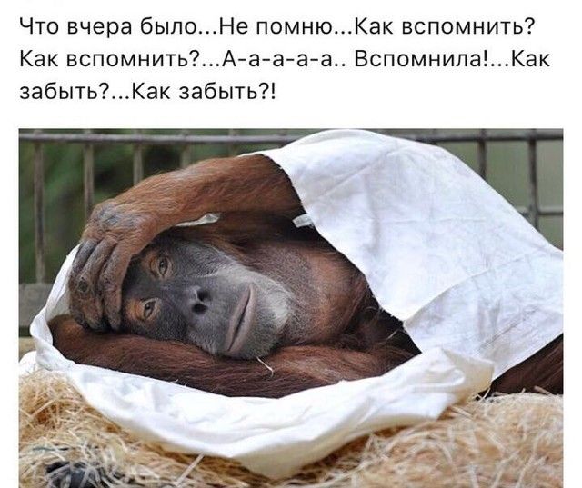 Что вчера былоНе помнюКак вспомнить Как вспомнитьАаааа ВспомнилаКак забытьКак забыть