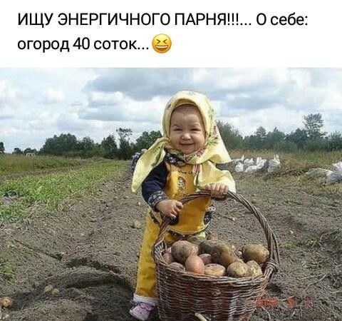 ИЩУ ЭНЕРГИЧНО ПАРНЯ О себе огород 40 соток