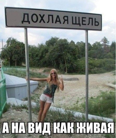 _ п дндвидандн нивпя