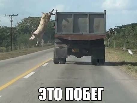 ЗП ББН