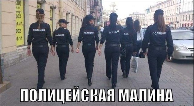 _ 3513 ПППИЦЕЙЁНДН шииты