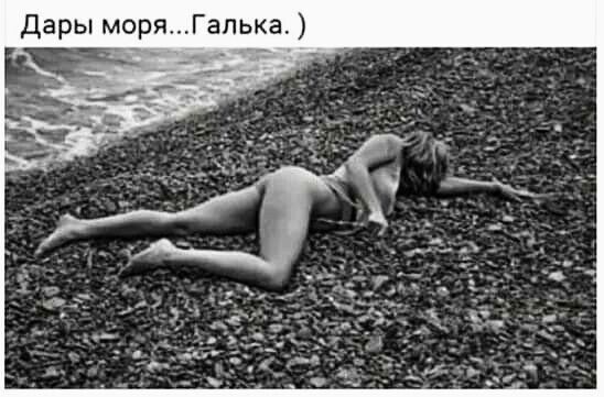дары моря