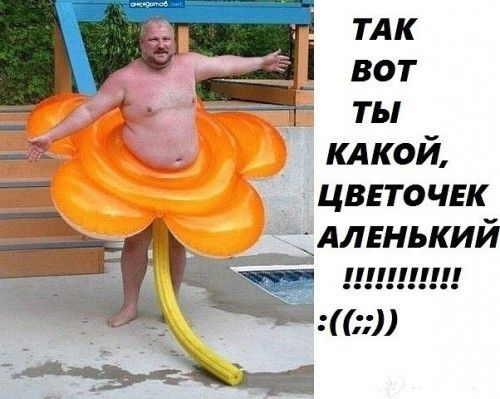ТАК вот _ ты кдкой цветочек Гы АЛЕНЬКИЙ тиши