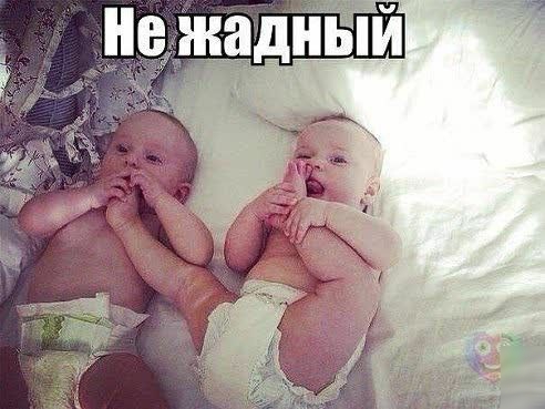 иежадный