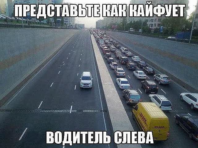 водитшьіё дд
