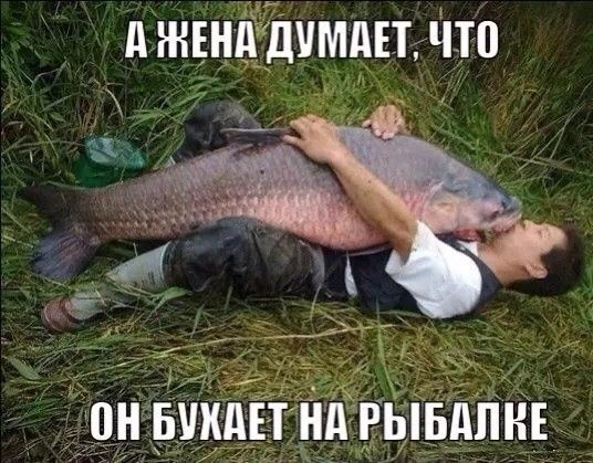 тдщди мдндпп _