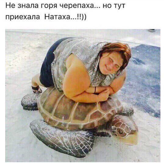 Не знала горя черепаха но тут приехала Натаха