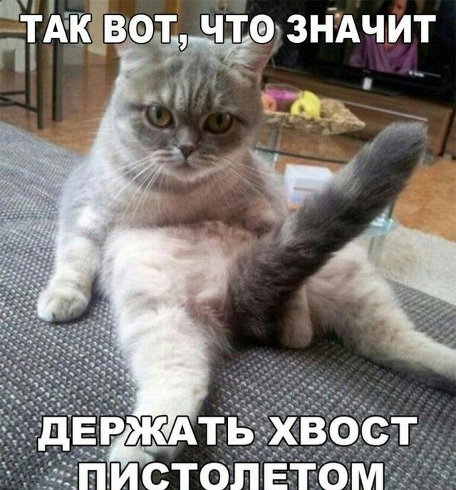 3щчит 41 Ь_ еднік _