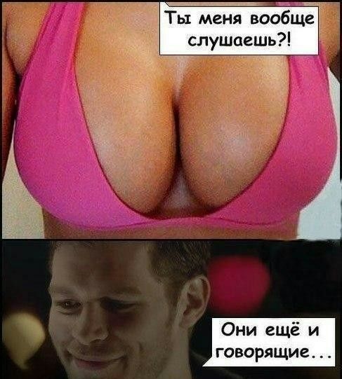 Они ещё и говорящие