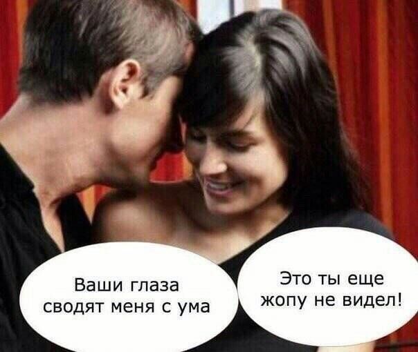 Это ты еще жопу не видел Ваши глаза сводят меня с ума