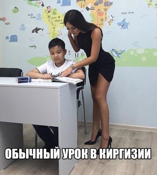 гонтин зип ПБЬЧЬЙ У