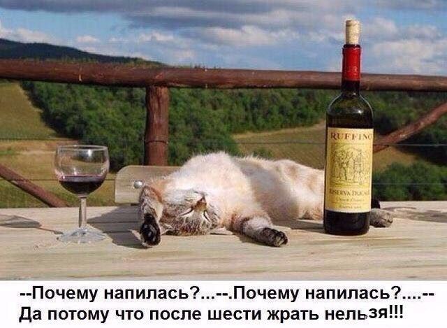 Почему напилась Почему напилась Да потому что после шести жрать нельзя