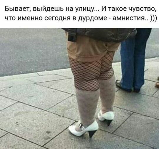 Бывает выйдешь на улицу И такое чувство что именно сегодня в дурдоме амнистия