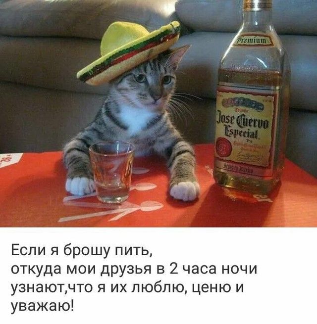 Если я брошу пить откуда мои друзья в 2 часа ночи узнаютчт0 я их люблю ценю и уважаю