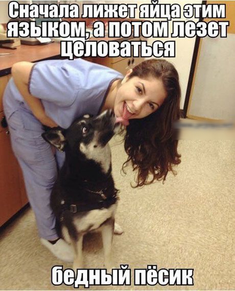 ин
