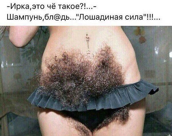 Иркаэто че такое ШампуньблдьЛо единая сила