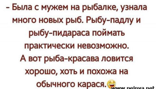 Была с мужем на рыбалке узнала много новых рыб Рыбу паллу и рыбу пидараса поймать практически невозможно А вот рыбакрасава ловится хорошо хоть и похожа на обычного карасяащ _