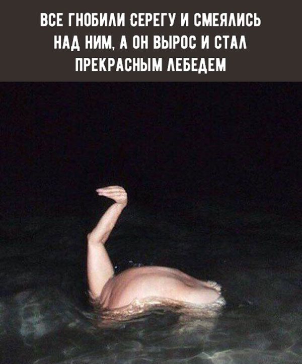 ВСЕ гновили СЕРЕГУ И ВМЕЯАИСЬ НАА НИМ А он ВЫРВБ И БТМ ПРЕКРАСНЫМ АЕБЕАЕМ