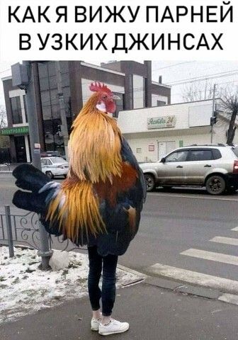 дОБГОЕ УТРО ВЫМНВШНЕ ЖИНСАХ