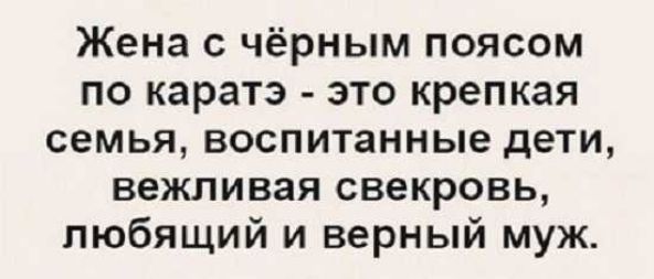 Жена с чёрным поясом по каратэ это крепкая семья воспитанные дети вежливая свекровь любящий и верный муж