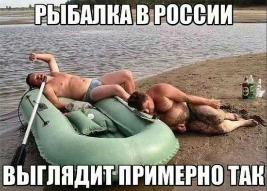 выглядит мприШтпдт