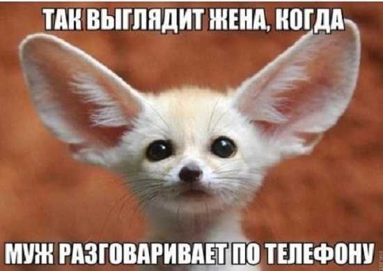 ТМЫГППДИТ ЖЕНА НПГДАЪ муж рпзговдгивдшіц тшіфонч