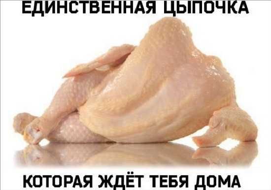 ЕДИНСТВЕННАЯ ЦЫПОЧКА КОТОРАЯ ЖДЁТ ТЕБЯ ДОМА