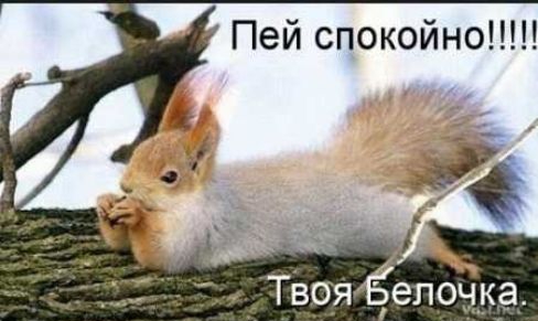 Пей спокойно