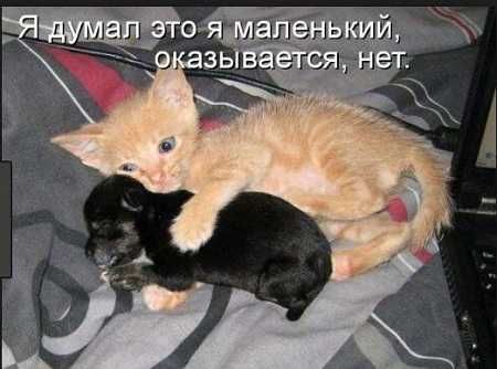 гыии