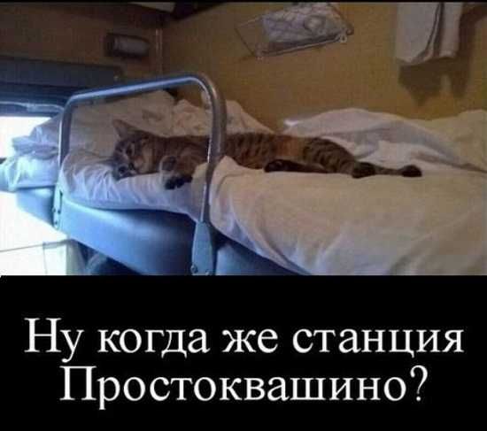 Ну когда же станция Простоквашино