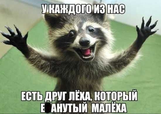 ЕСТЬ дРШ ЛЁХА ДВРЫИ Е ПНПЫЙ ШШШ