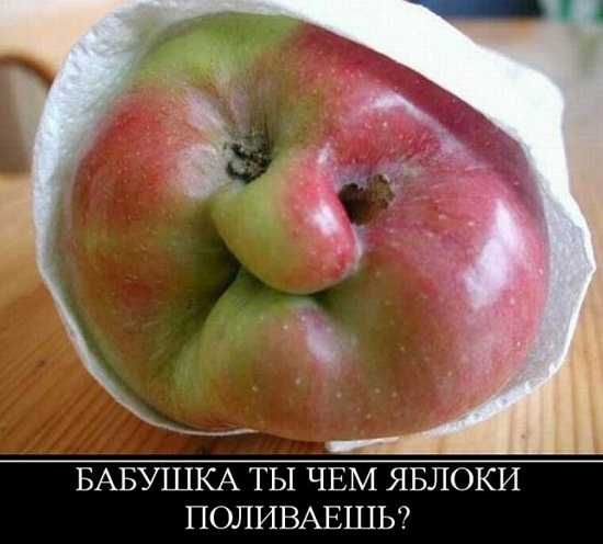 __ БАБУШКА ТЫ ЧЕМ ЯБЛОКИ ПОЛИВАЕШЬ