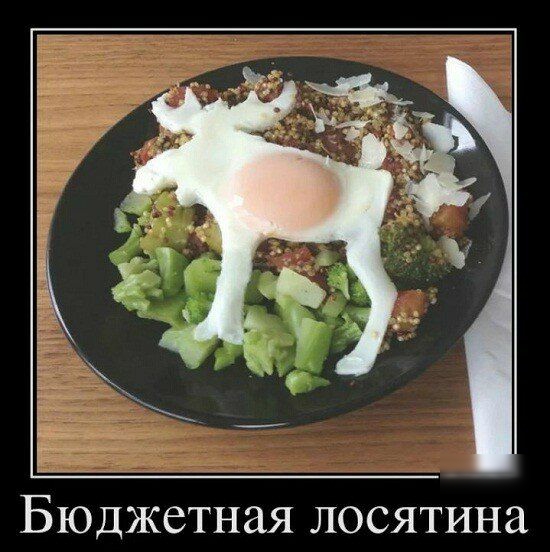 Бюджетная лосятина