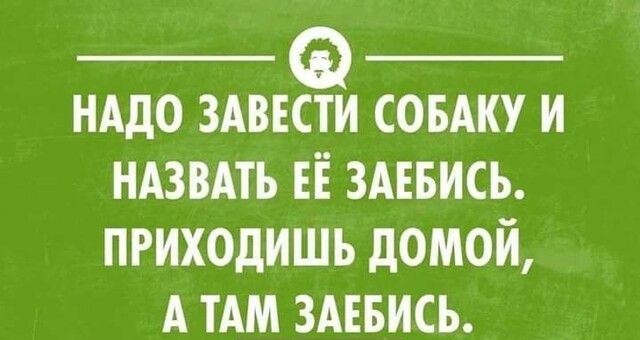 НАДО ЗАВЕСТИ СОБАКУ И НАЗВАТЬ ЕЁ ЗАЕБИСЬ ПРИХОДИШЬ дОМОЙ А ТАМ ЗАЕБИСЬ