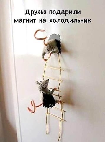 друзья подарили магнит на ХОЛОДИЛЬНИК