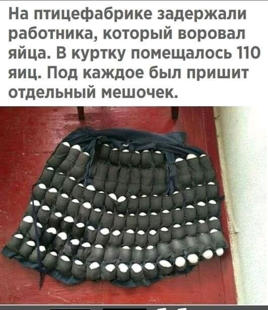 На птицефабрике задержали работника который воровал яйца В куртку помещалось 110 яиц Под каждое был пришит отдельный мешочек