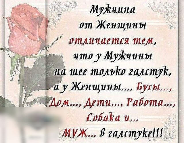 МуЖчина ат Женщины _птличается тем чтпу МуЖчины лбліса и МУЖ Бец15119195
