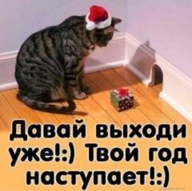 довай выходи уже Твой год наступаеты
