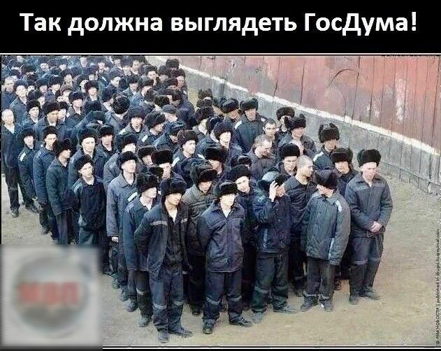 Так должна выглядеть Госдума