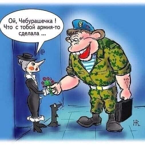 Ой Чебурашечка Что с тобой армия то сделала