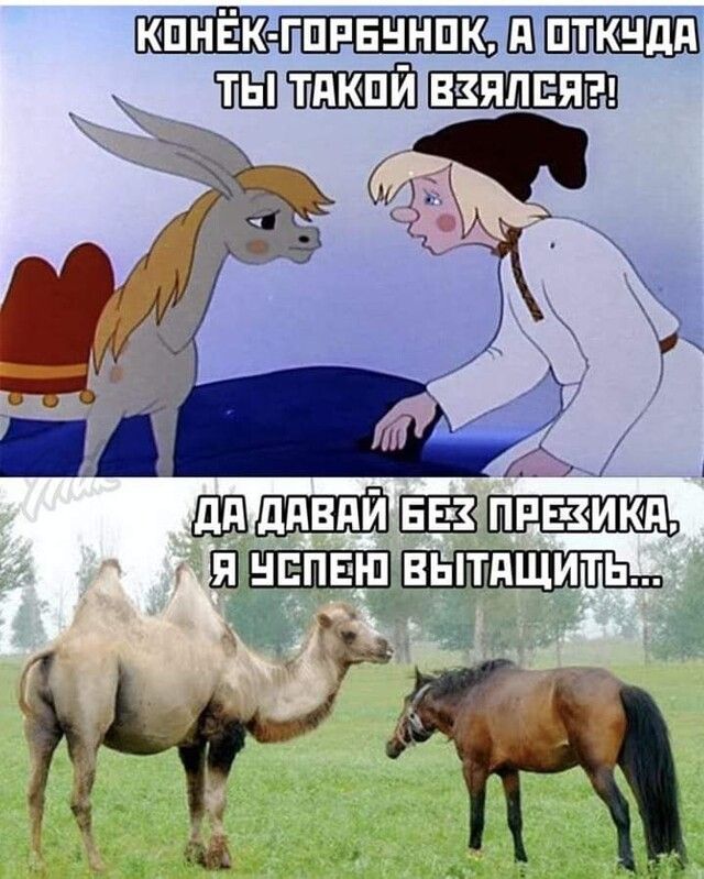 _ _ ШШ А 1 ЕШПЁЁЗШЗЕЁШЕЬ ШШЁШЁШПШ