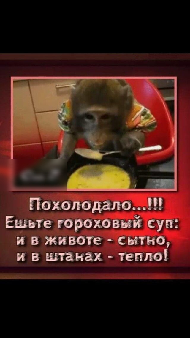 Пахотдала Ешьте гороховый суп и в животе сытно и в штанги тетю