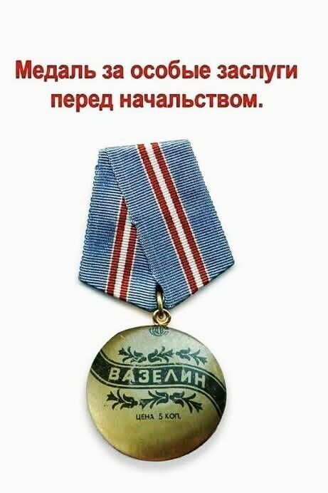 Медаль за особые заслуги перед начальством