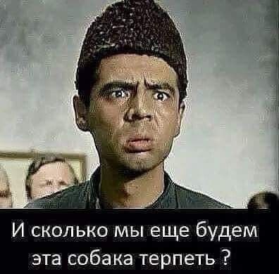 И сколько мы еще будем эта собака терпеть