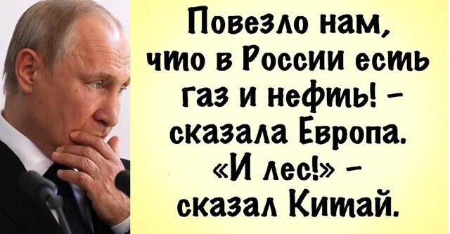 Повезло нам что в России есть газ и нефть _ 3 сказала Европа И лес сказал Китай