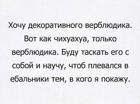 Хочу декоративного верблюдика Вот как чихуахуа только верблюдика Буду таскать его с собой и научу чтоб ппевапся в ебапьники тем В КОГО Я ПОКЭЖУ_