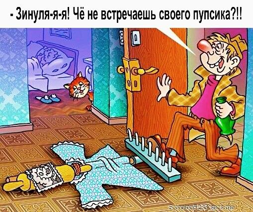 Зинуля я я Чё не встречаешь своего пупсика