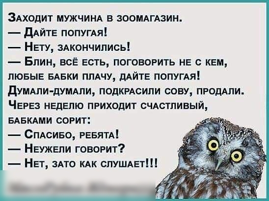 ЗАходит МУЖЧИНА в зооммАзин ДАЙТЕ попугАя Нету зАкончипись Блин всё есть поговорить не с кем ЛЮБЫЕ вАвки пмчу дАЙТЕ попугАя дУМАПИ дУМАПИ подкмсипи сову ПРОДАПИ ЧЕРЕЗ неделю приходит счдстпивый БАБКАМИ согит СПАсиво РЕБЯТА Неужели говорит НЕТ ЗАТО КАК ПУШАЕТШ
