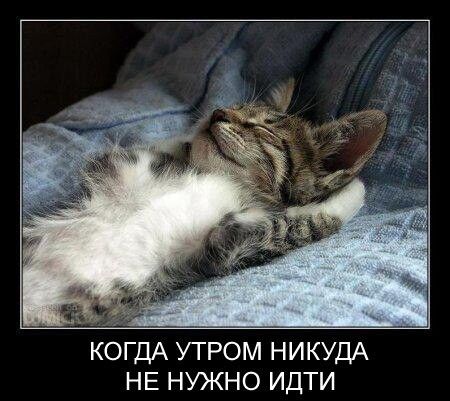 КОГДА УТРОМ НИКУДА НЕ НУЖНО ИДТИ