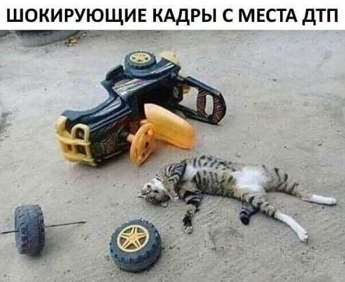 шокирующив кддры с МЕСТА дтп т